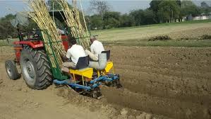 Sugarcane Planter